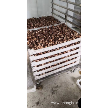 heat pump drying fruits machine